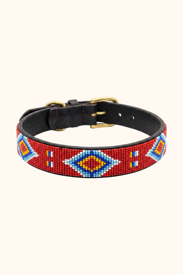Isiolo Dog Collar, hand-beaded leather dog collar