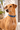 Baragoi Dog Collar worn by a tan dog in Lamu