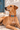 Gede Dog Collar worn by a tan dog in Lamu