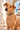 Mombasa Dog Collar worn by a tan dog in Lamu