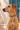 Nairobi - Rainbow Dog Collar worn by a tan dog in Lamu