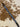 Dog Collar - Baragoi