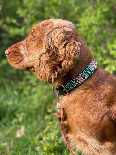 Dog Collar - Kilifi - Pink & Turquoise